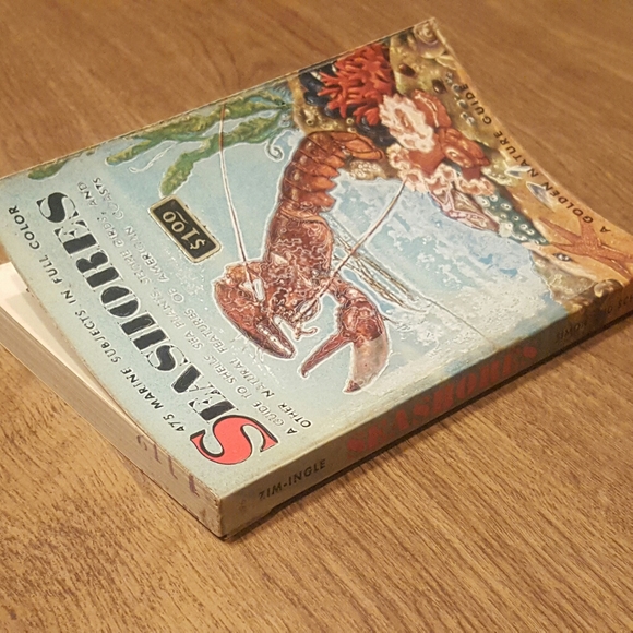 VINTAGE 1955 - A GOLDEN NATURE GUIDE - SEASHORES - Picture 5 of 11